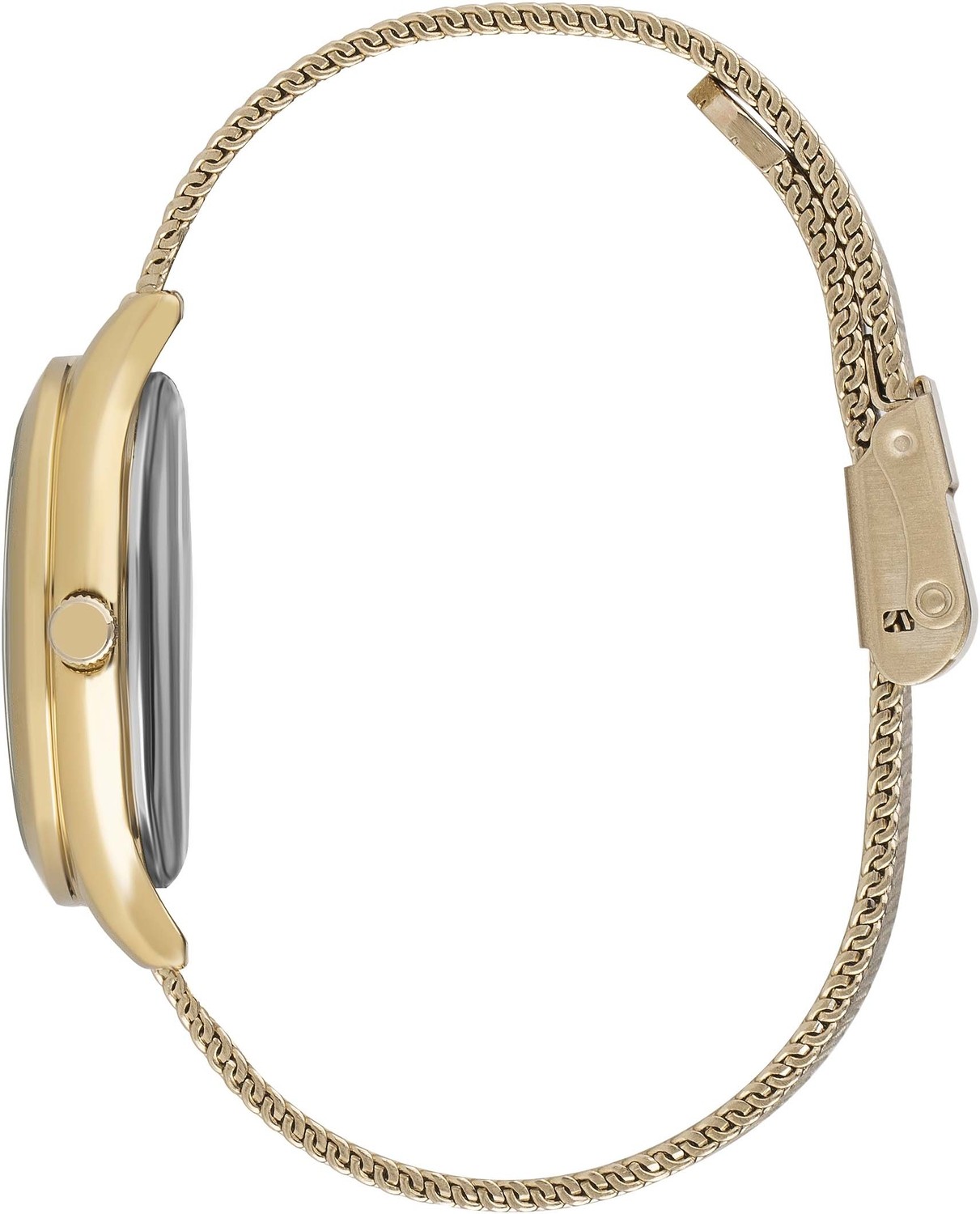 Часы BEVERLY HILLS POLO CLUB  BP3167C.170, Пол: Женские