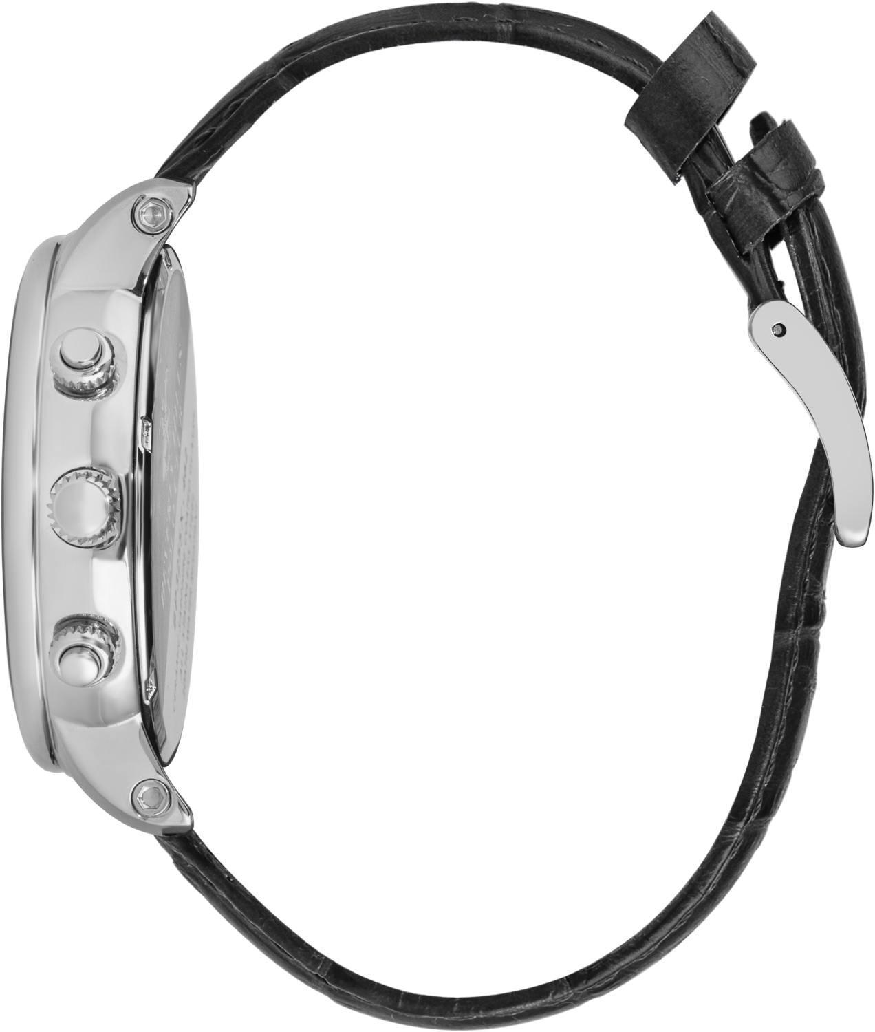 Часы BEVERLY HILLS POLO CLUB  BP3255X.351, Пол: Мужские