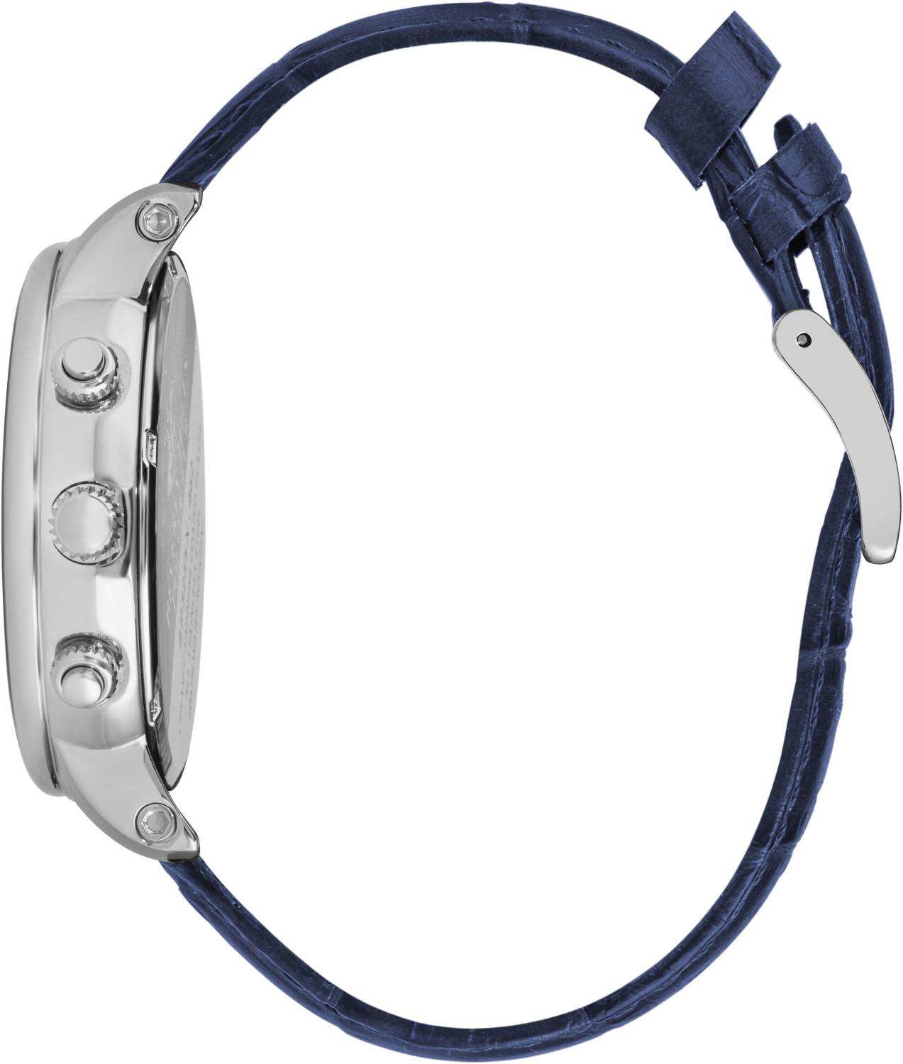 Часы BEVERLY HILLS POLO CLUB  BP3255X.399, Пол: Мужские