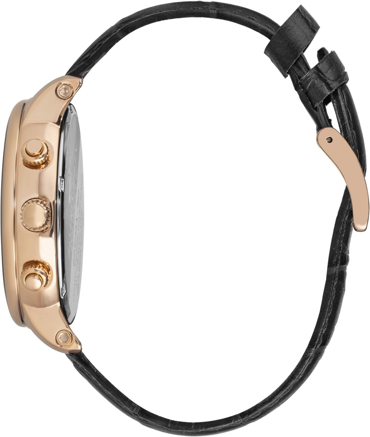 Часы BEVERLY HILLS POLO CLUB  BP3255X.451, Пол: Мужские