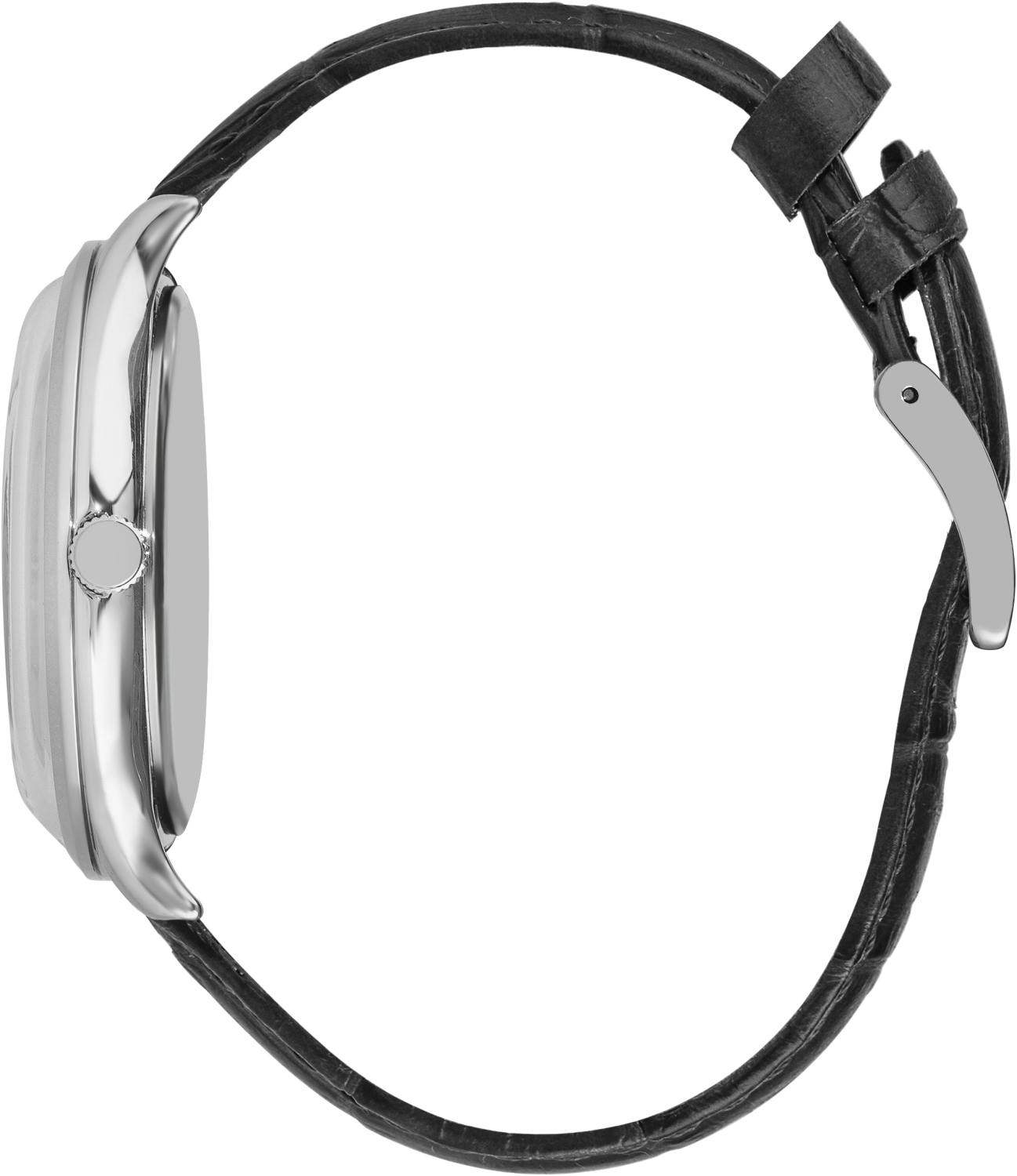 Часы BEVERLY HILLS POLO CLUB  BP3260X.351, Пол: Мужские
