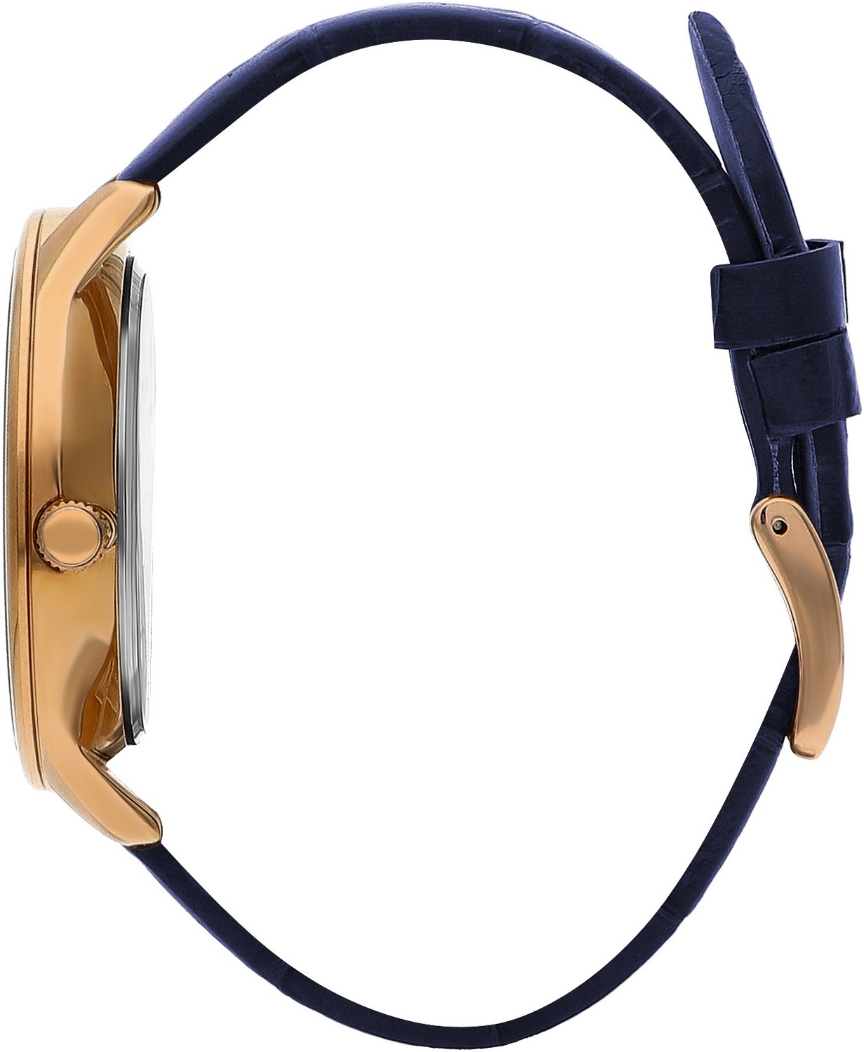 Часы BEVERLY HILLS POLO CLUB  BP3308X.499, Пол: Мужские