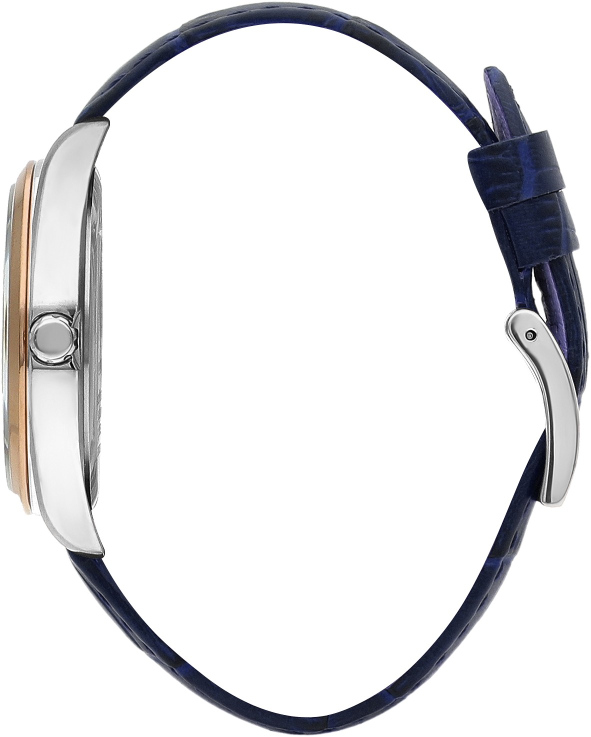 Часы BEVERLY HILLS POLO CLUB  BP3339X.590, Пол: Женские