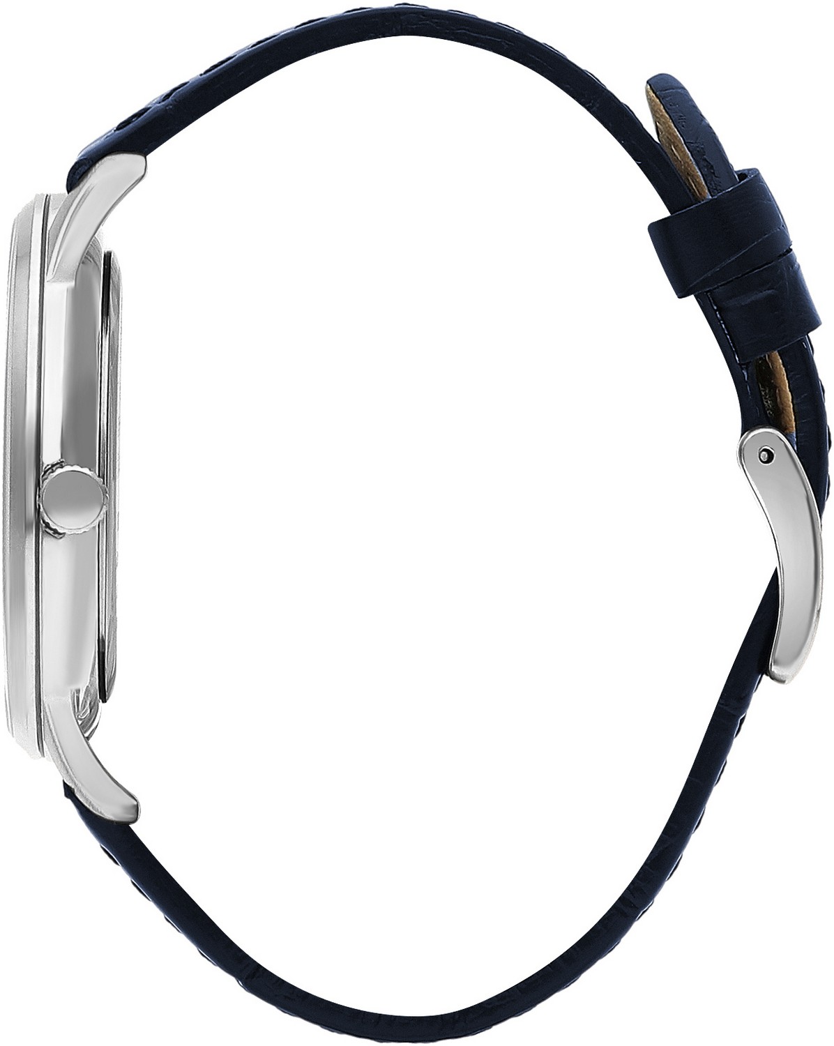 Часы BEVERLY HILLS POLO CLUB  BP3393X.399, Пол: Мужские