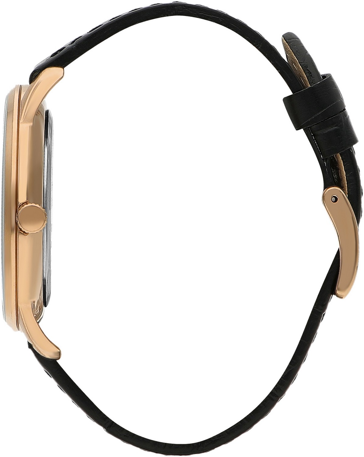 Часы BEVERLY HILLS POLO CLUB  BP3393X.451, Пол: Мужские