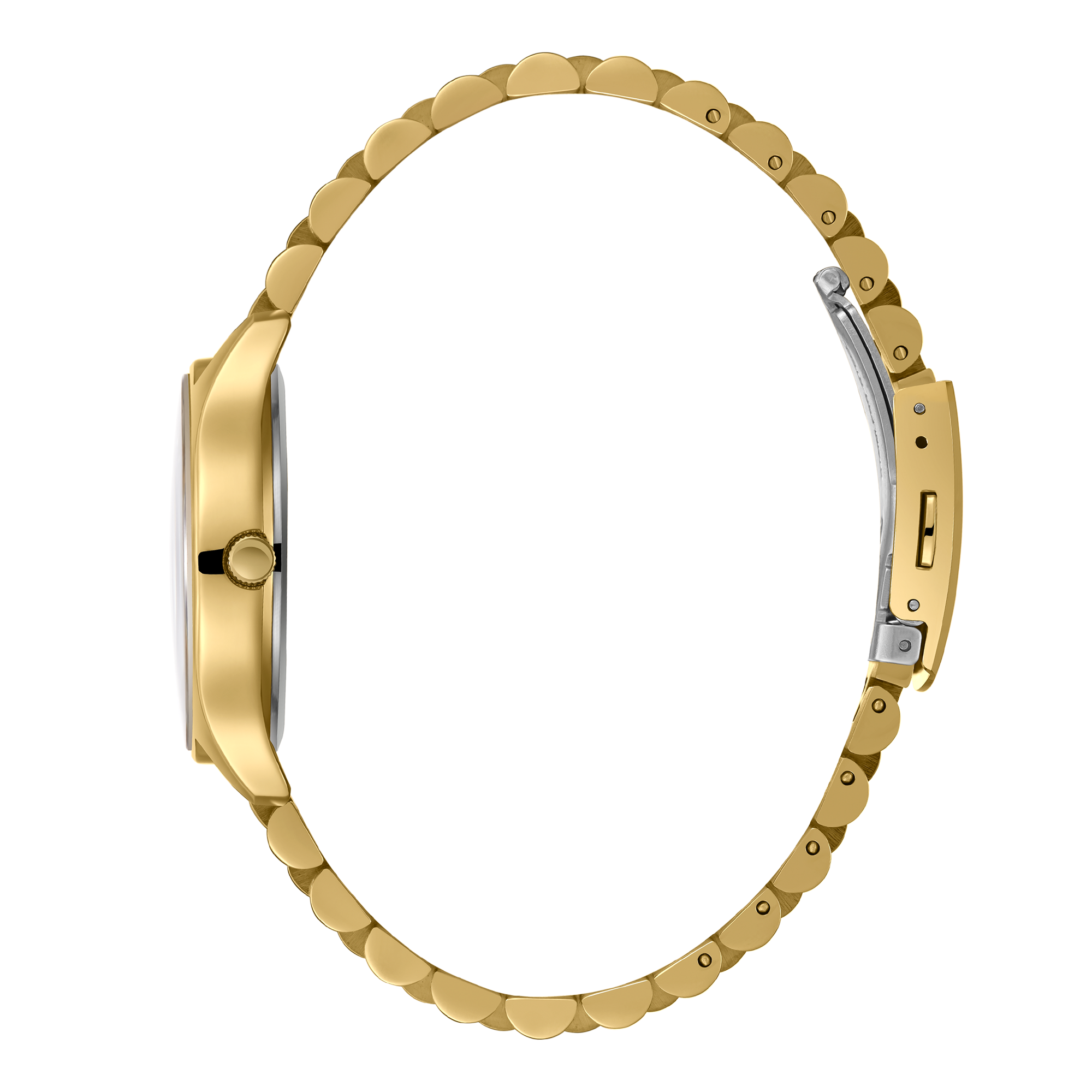 Часы BEVERLY HILLS POLO CLUB  BP3657C.170, Механизм: Кварцевый механизм