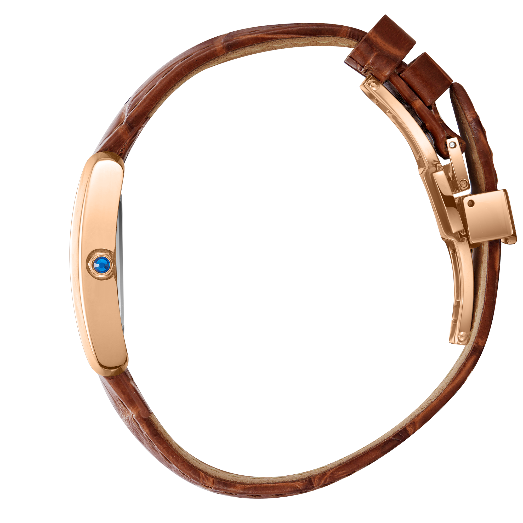 Часы BEVERLY HILLS POLO CLUB  BP3753X.422, Механизм: Кварцевый механизм
