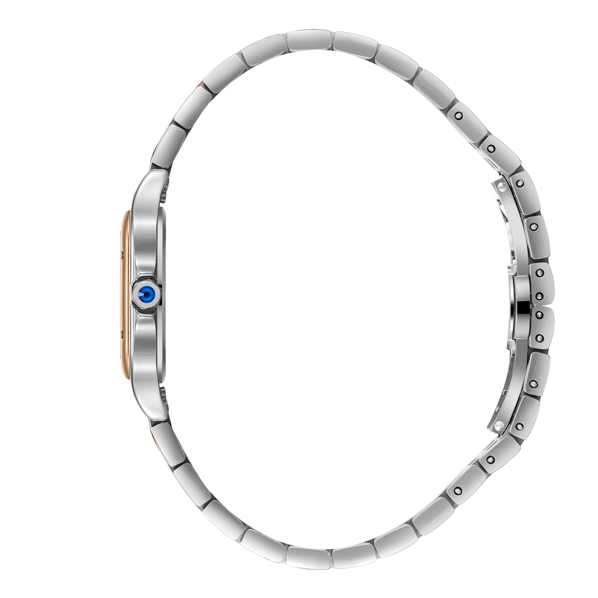 Часы BEVERLY HILLS POLO CLUB  BP3755C.530, Механизм: Кварцевый механизм