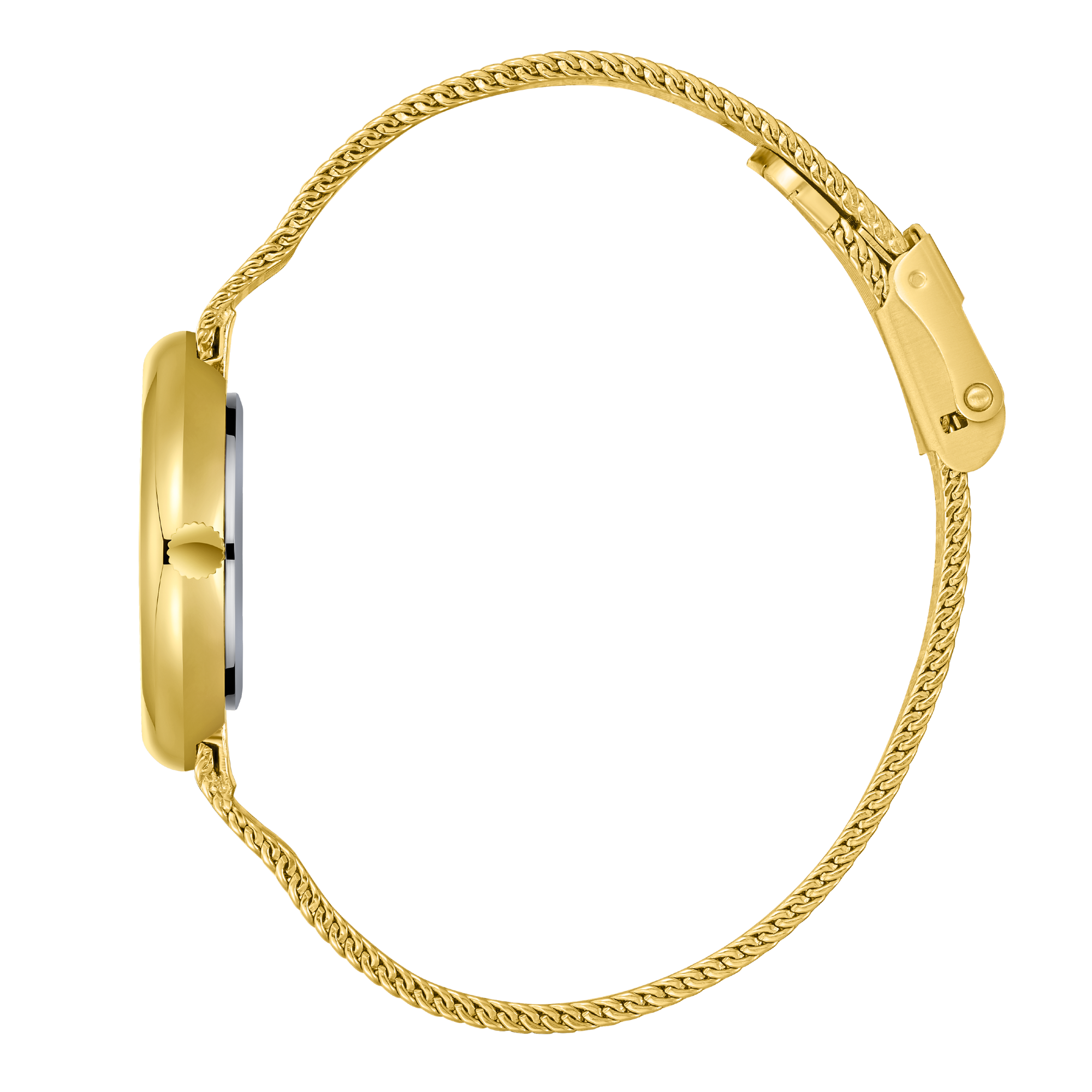 Часы BEVERLY HILLS POLO CLUB  BP3760X.120, Механизм: Кварцевый механизм