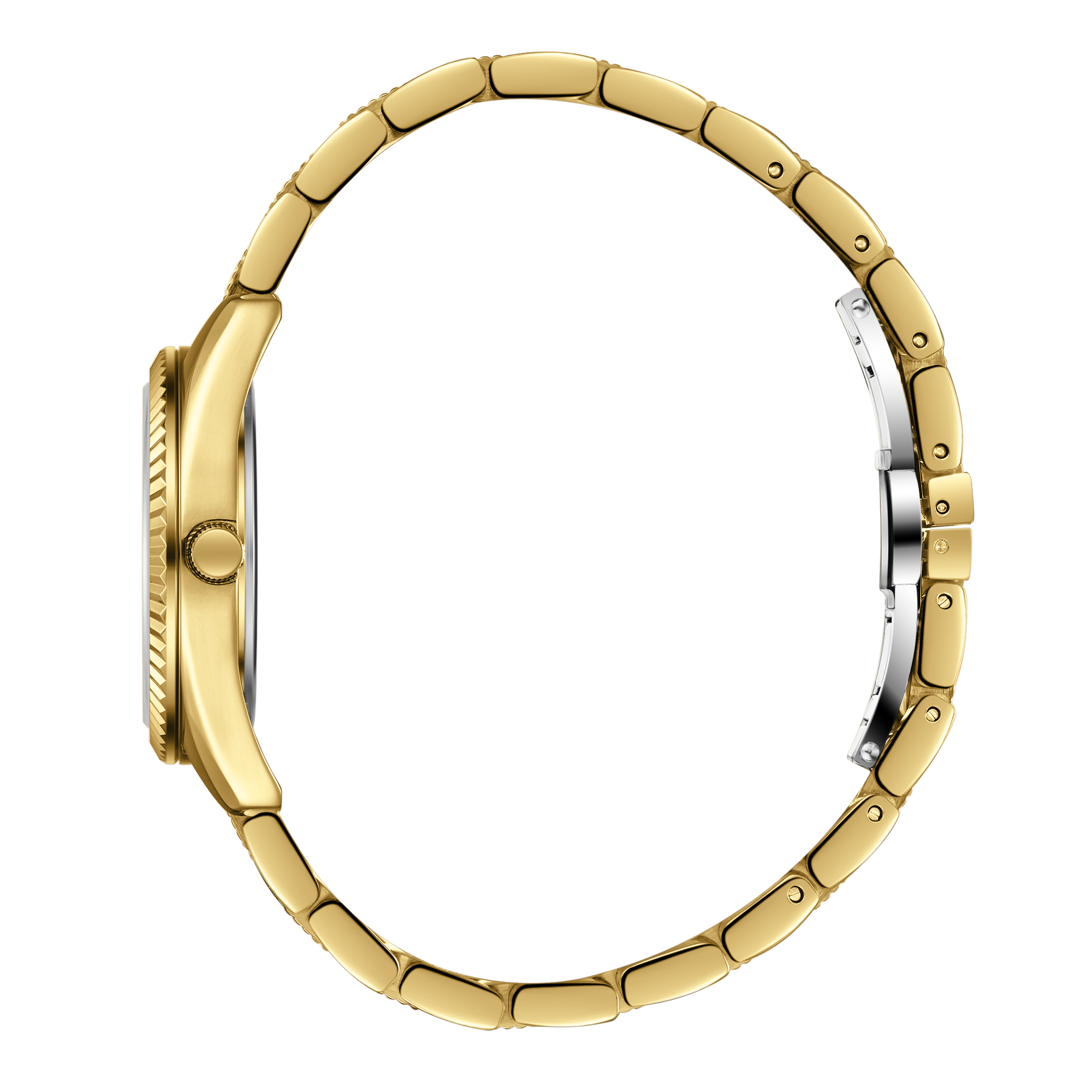 Часы BEVERLY HILLS POLO CLUB  BP3765C.170, Механизм: Кварцевый механизм