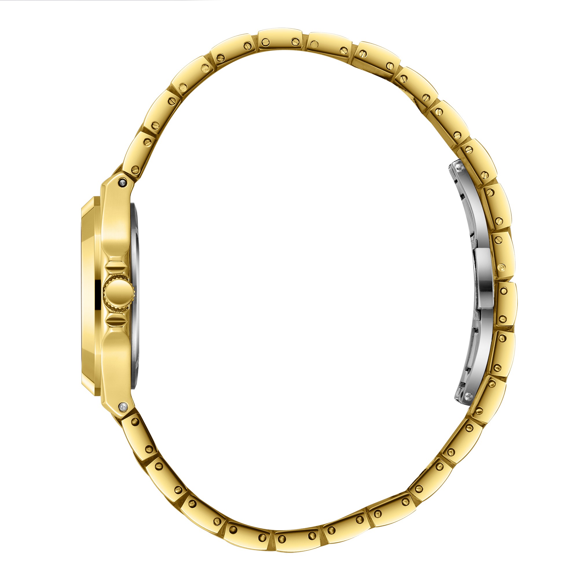 Часы BEVERLY HILLS POLO CLUB  BP3780X.130, Механизм: Кварцевый механизм