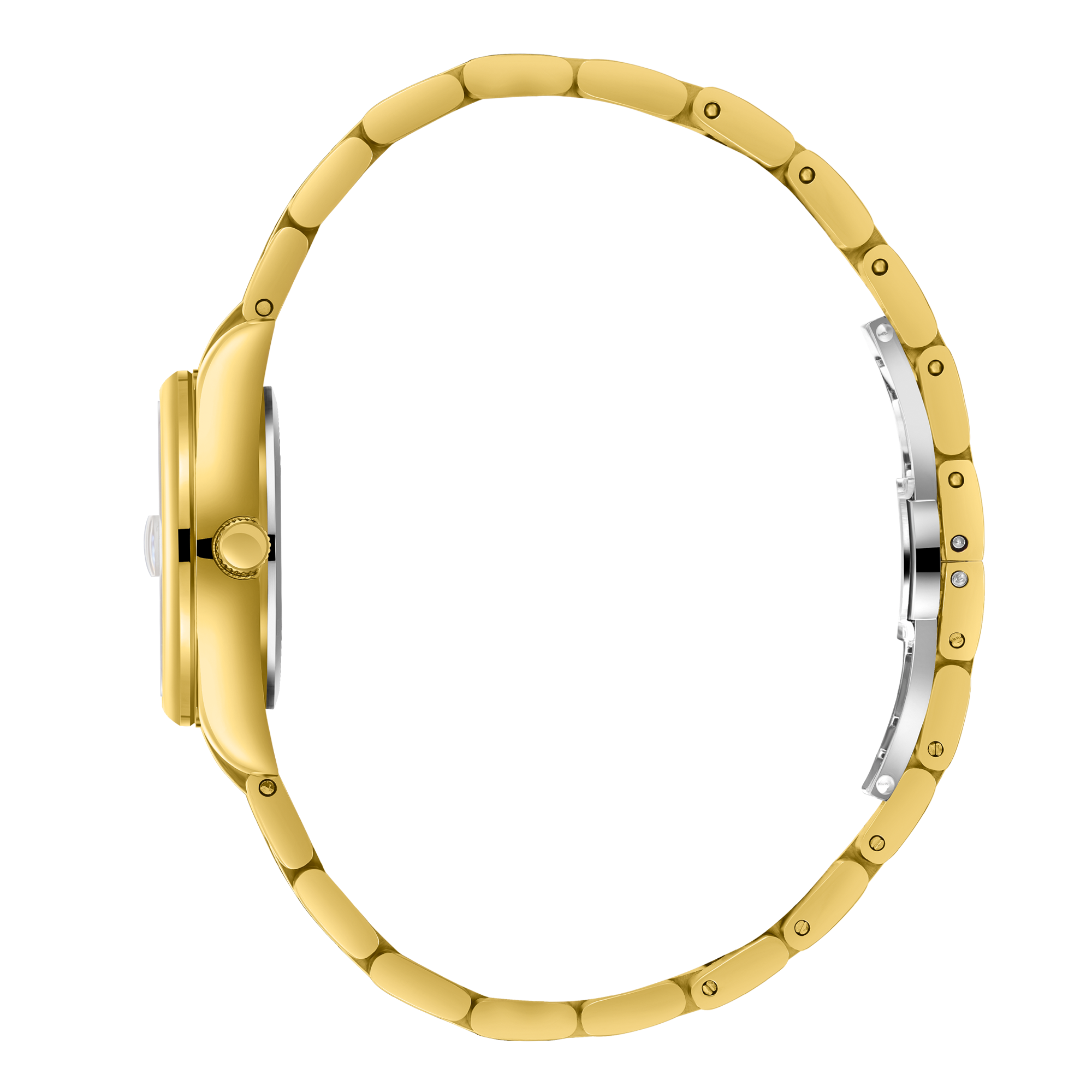 Часы BEVERLY HILLS POLO CLUB  BP3794X.120, Механизм: Кварцевый механизм