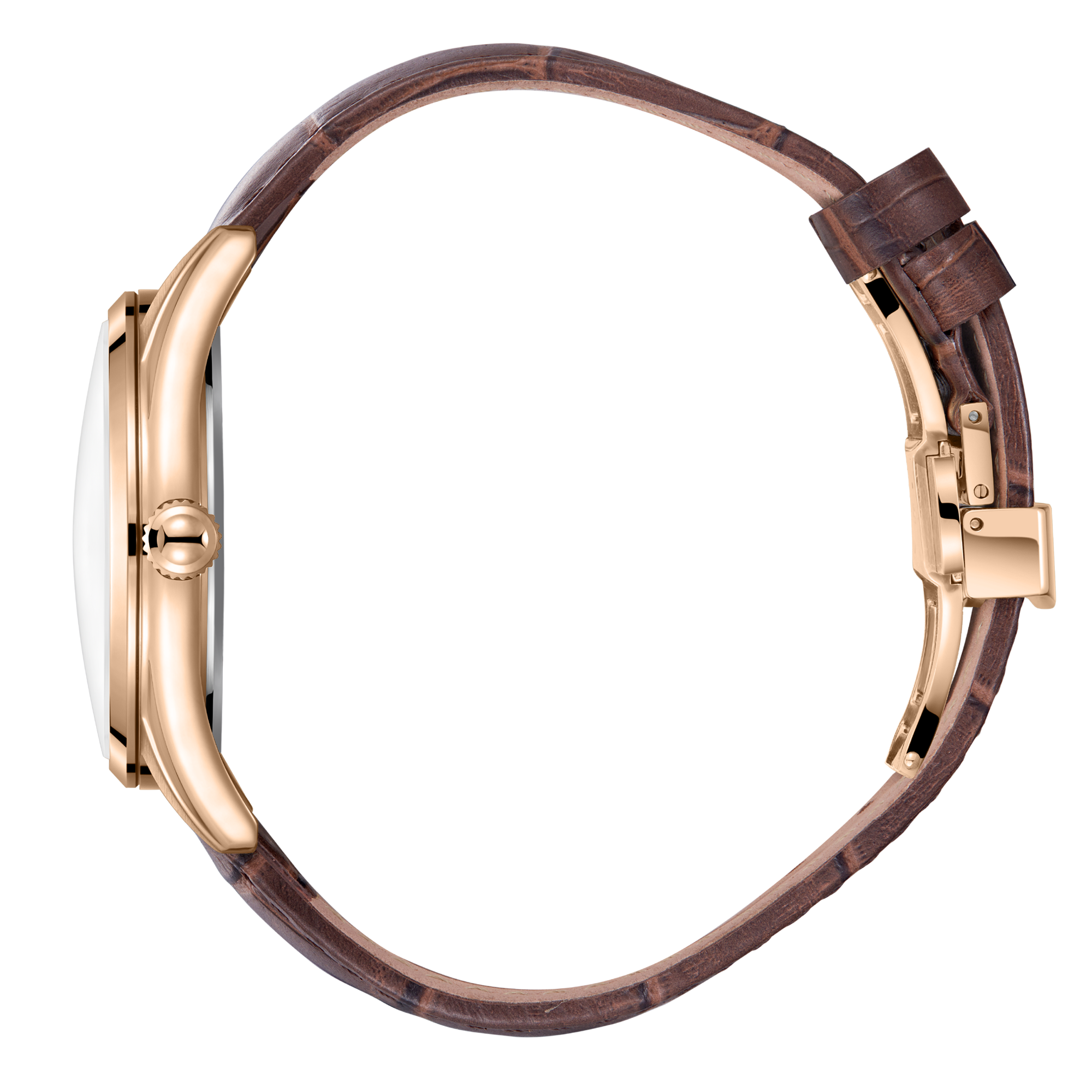 Часы BEVERLY HILLS POLO CLUB  BP3811X.462, Механизм: Кварцевый механизм