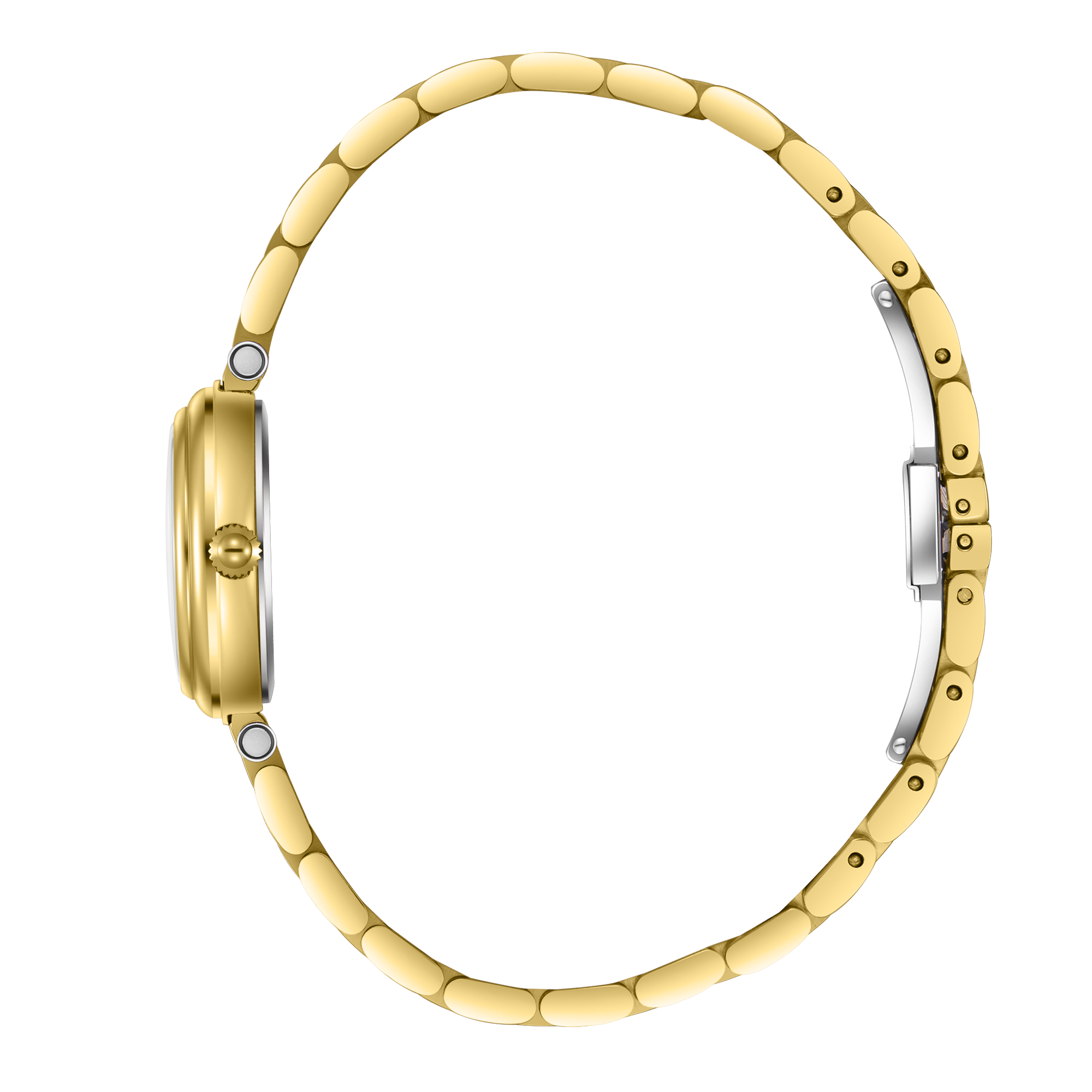 Часы Часы BEVERLY HILLS POLO CLUB  BP3838X.120, Механизм: Кварцевый механизм