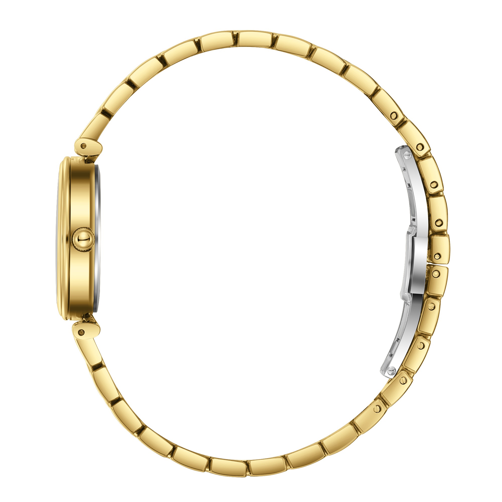 Часы BEVERLY HILLS POLO CLUB  BP3894X.170, Механизм: Кварцевый механизм