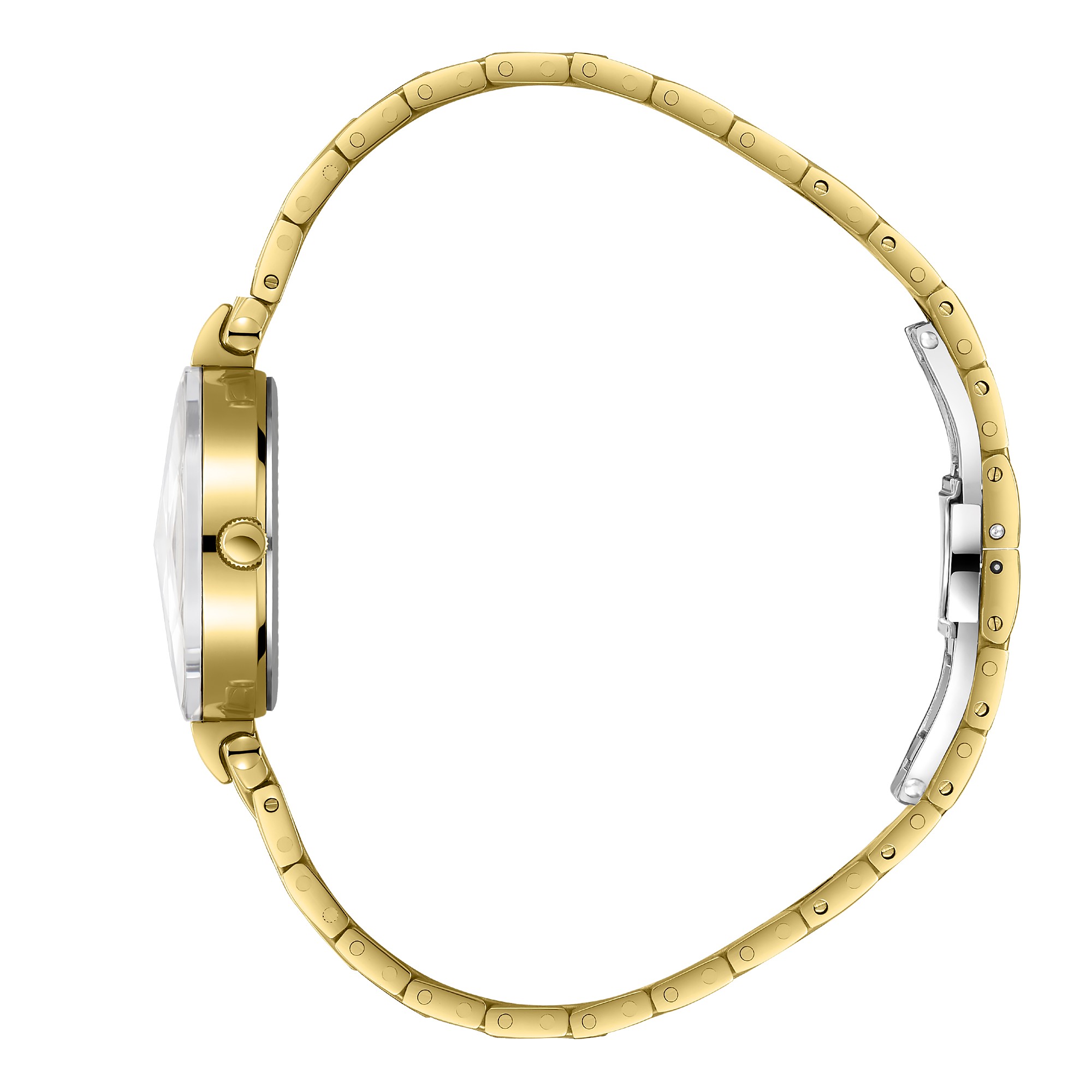 Часы Часы BEVERLY HILLS POLO CLUB  BP3899X.110, Механизм: Кварцевый механизм