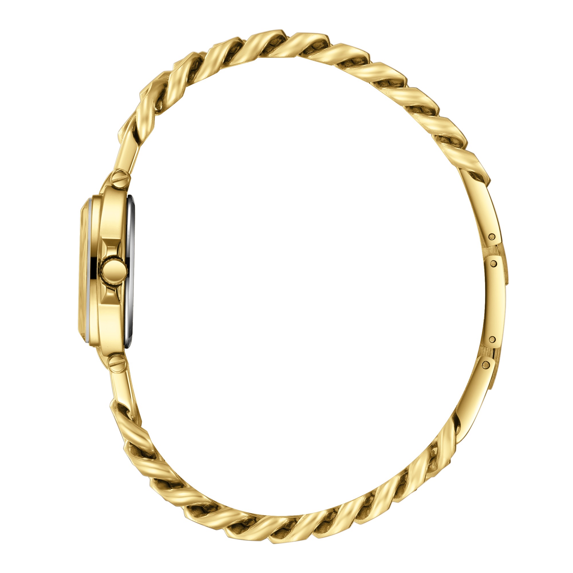 Часы Часы BEVERLY HILLS POLO CLUB  BP3902C.110, Механизм: Кварцевый механизм