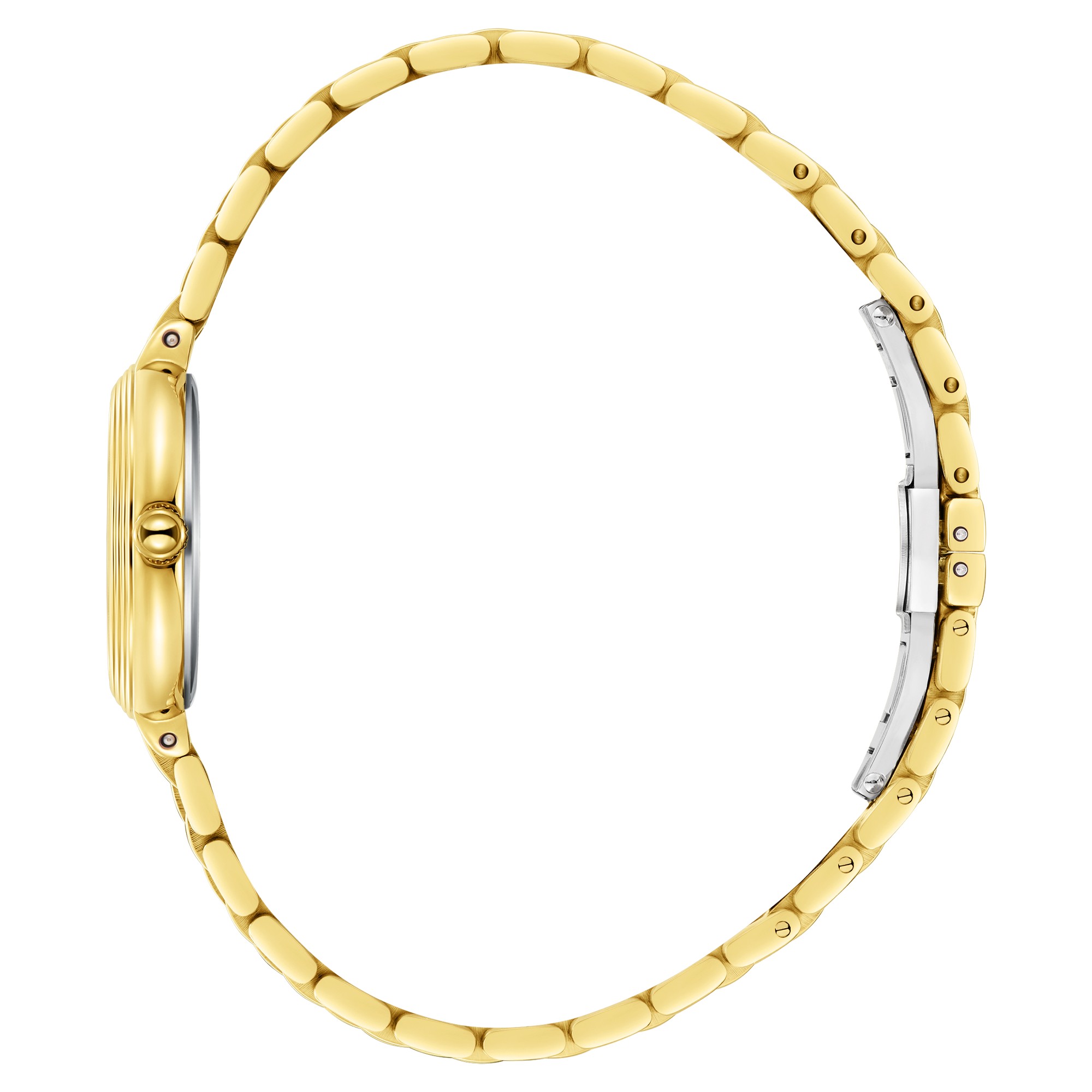 Часы Часы BEVERLY HILLS POLO CLUB  BP3903C.130, Механизм: Кварцевый механизм