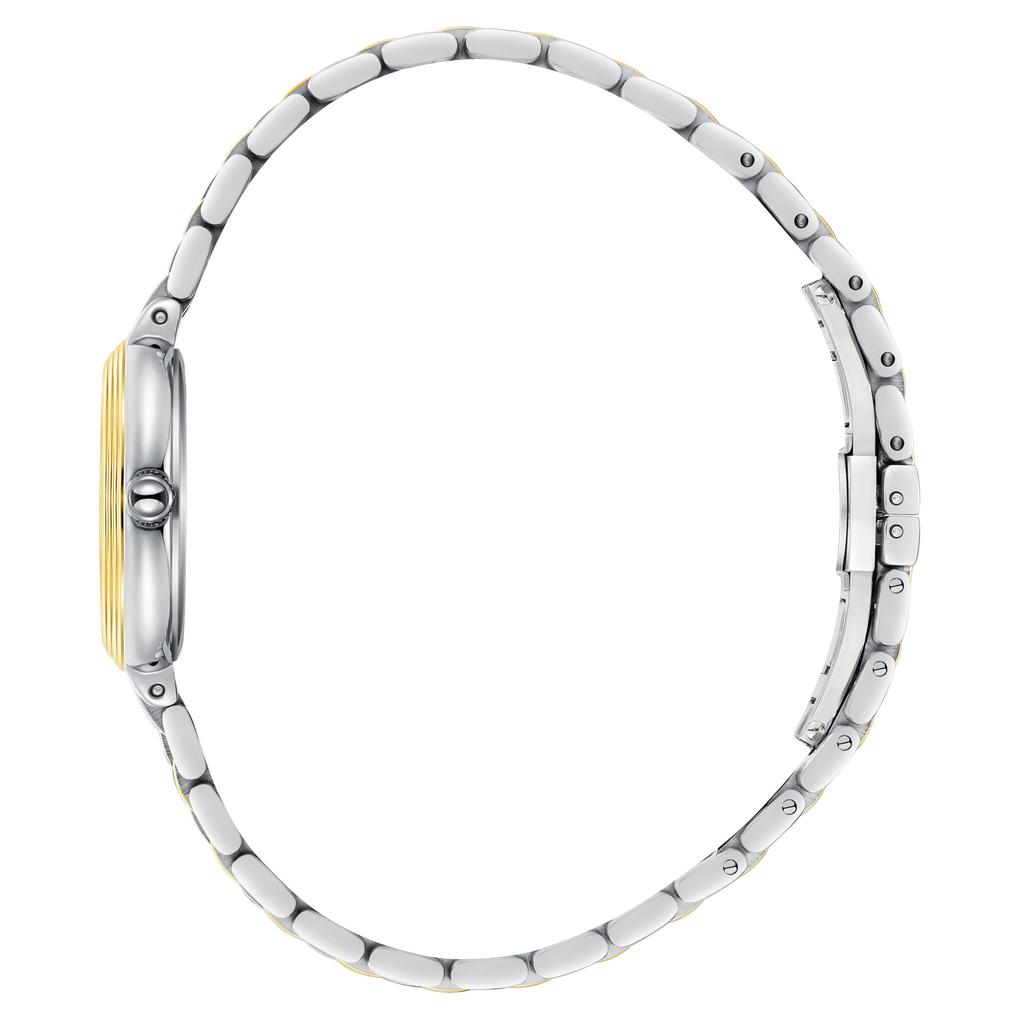 Часы Часы BEVERLY HILLS POLO CLUB  BP3903C.270, Механизм: Кварцевый механизм