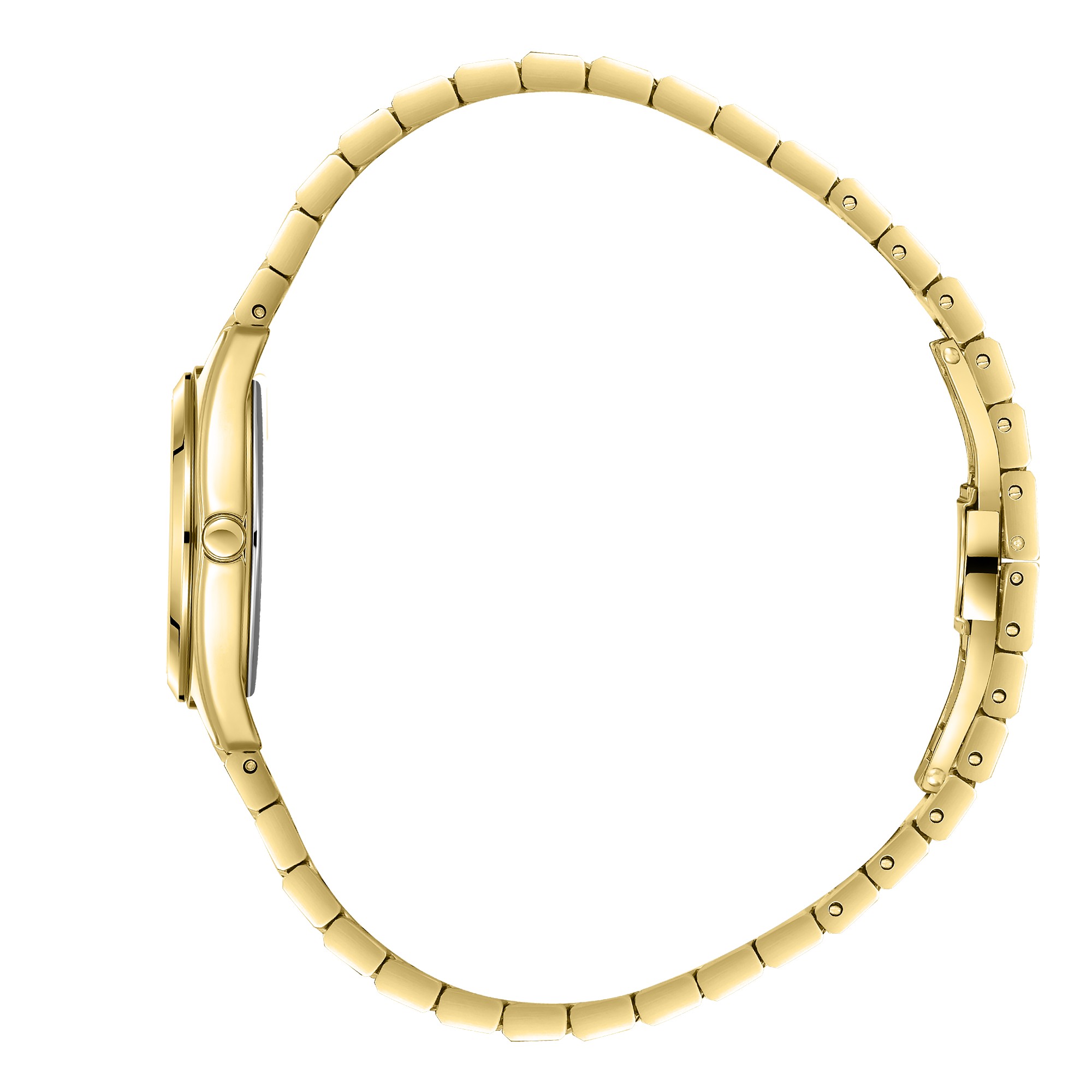 Часы BEVERLY HILLS POLO CLUB  BP3904C.120, Механизм: Кварцевый механизм