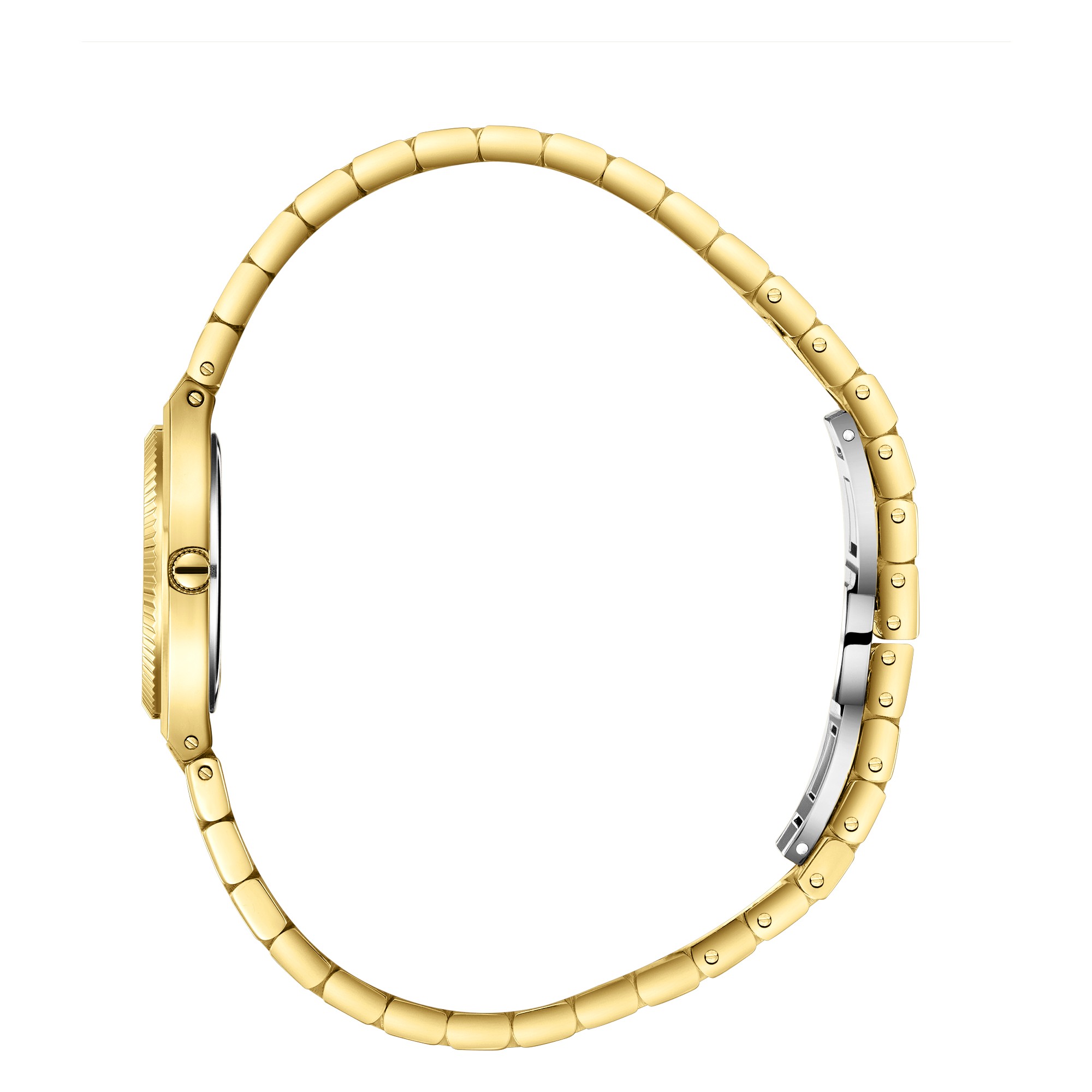 Часы Часы BEVERLY HILLS POLO CLUB  BP3922C.130, Механизм: Кварцевый механизм
