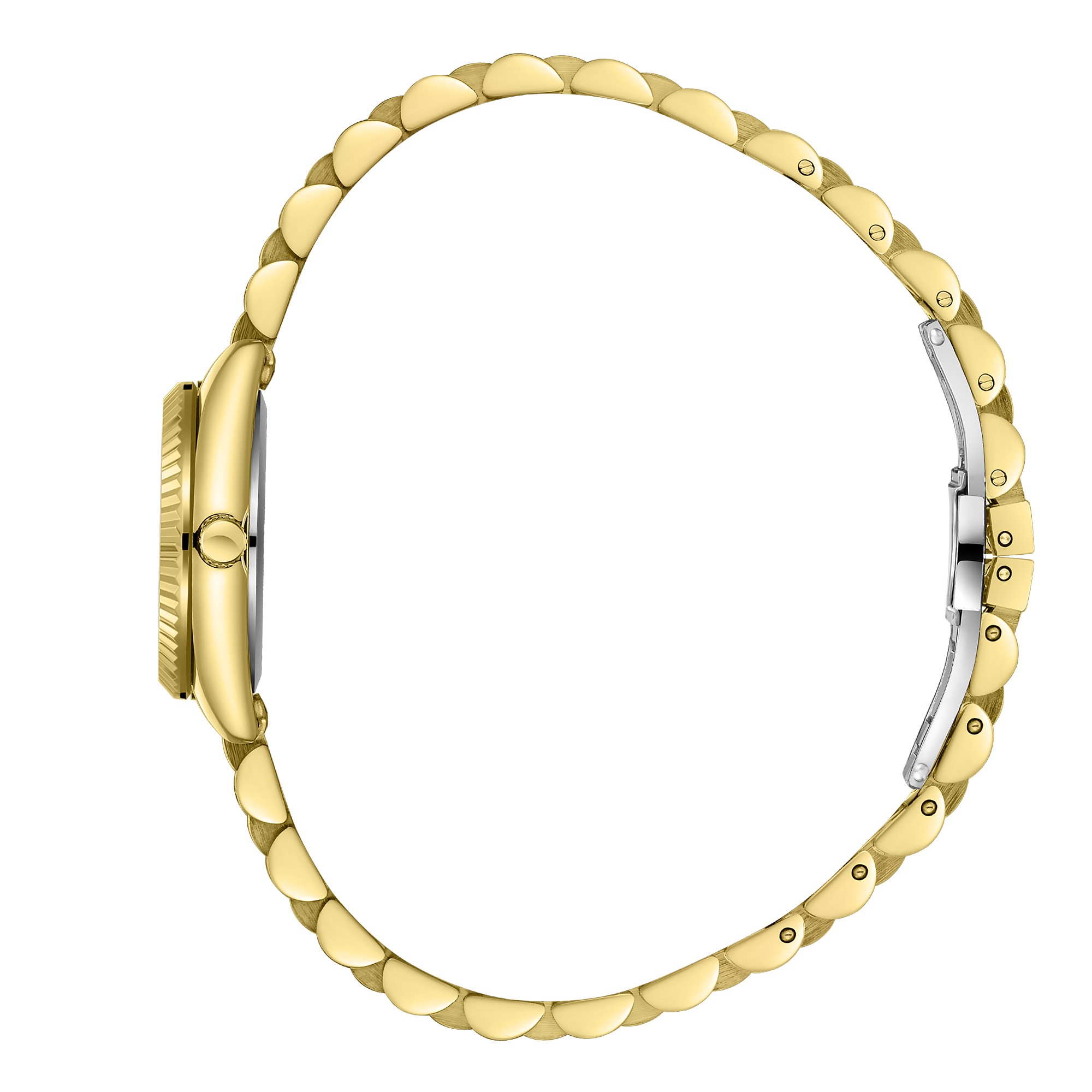 Часы Часы BEVERLY HILLS POLO CLUB  BP3923C.130, Механизм: Кварцевый механизм