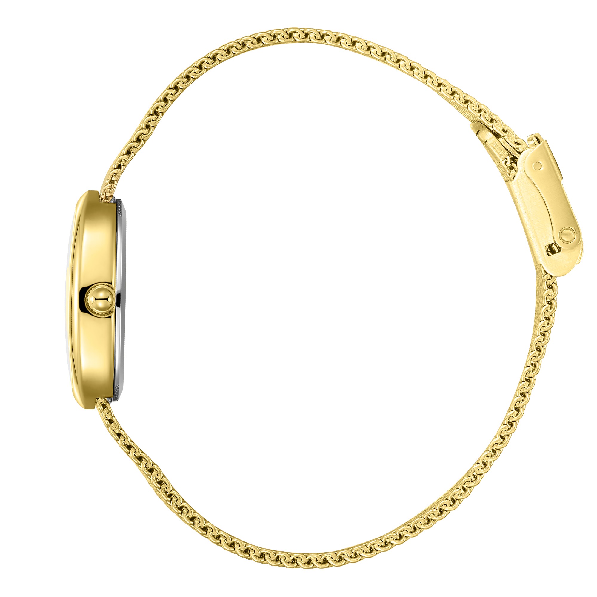 Часы Часы BEVERLY HILLS POLO CLUB  BP3925X.120, Механизм: Кварцевый механизм