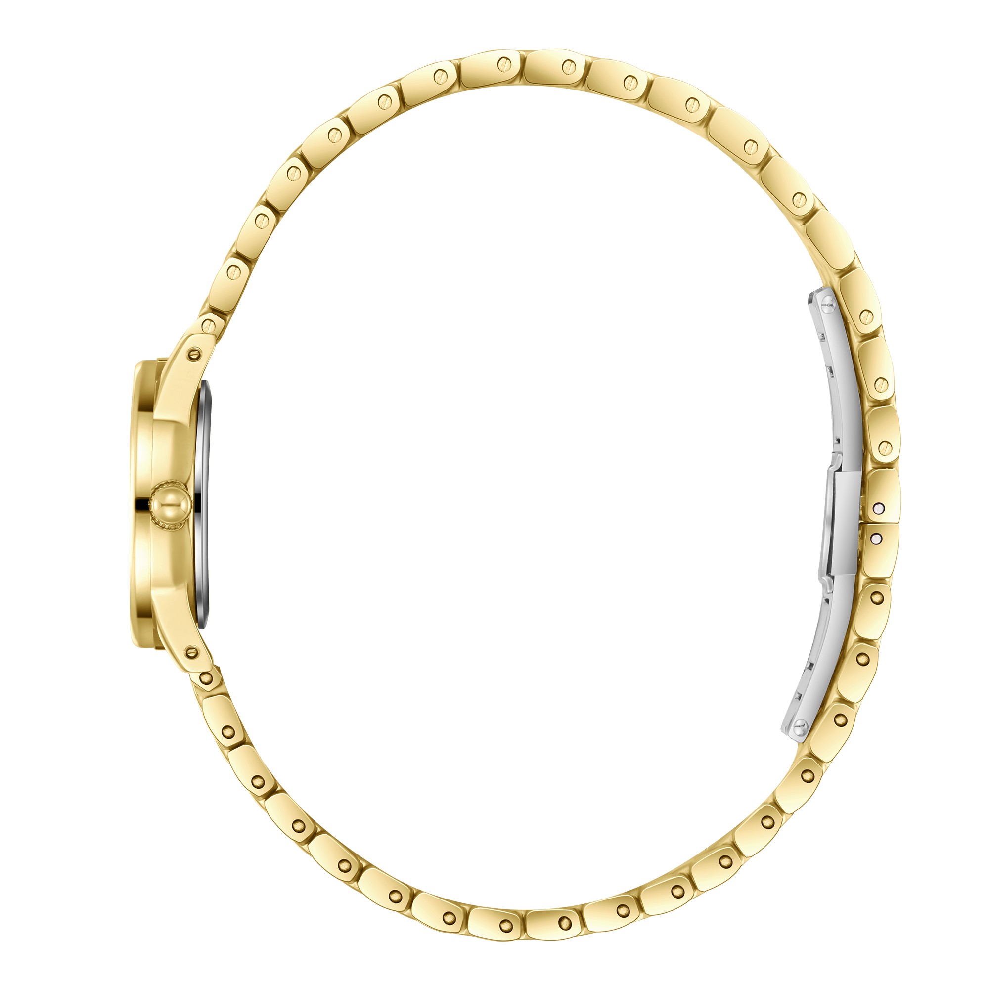 Часы Часы BEVERLY HILLS POLO CLUB  BP3926X.120, Механизм: Кварцевый механизм