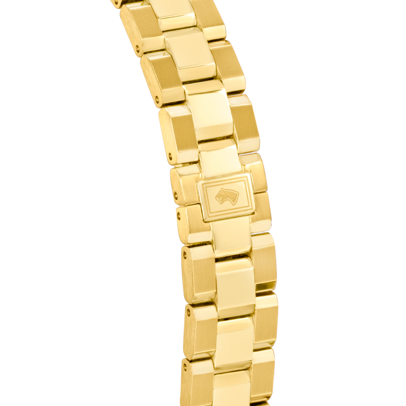 JAGUAR  Женские швейцарские часы, кварцевый механизм, сталь, 29 мм